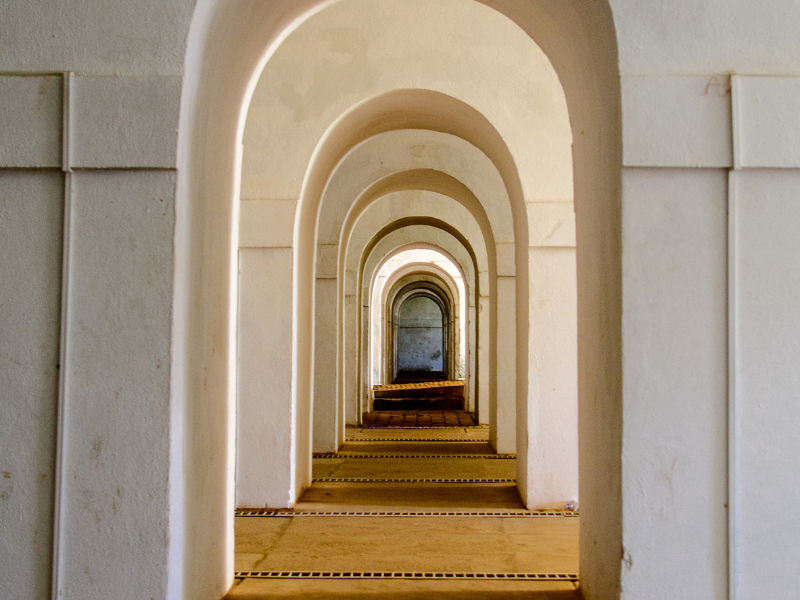 come home to yourself with human design