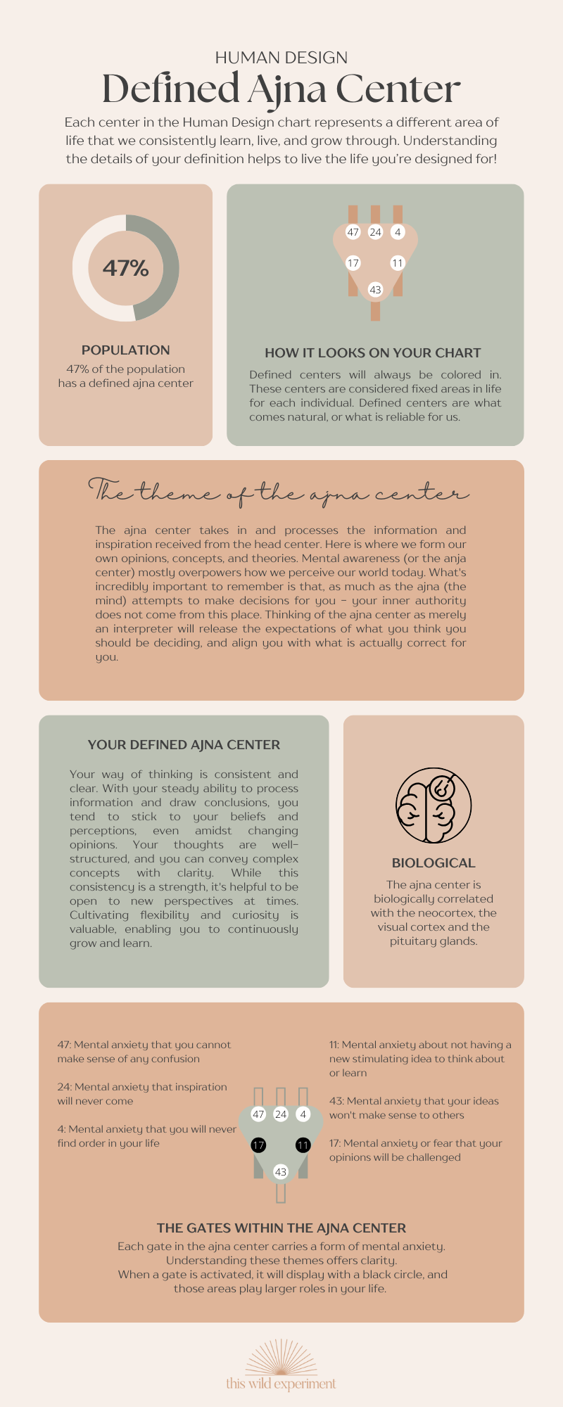 Human Design Ajna Center