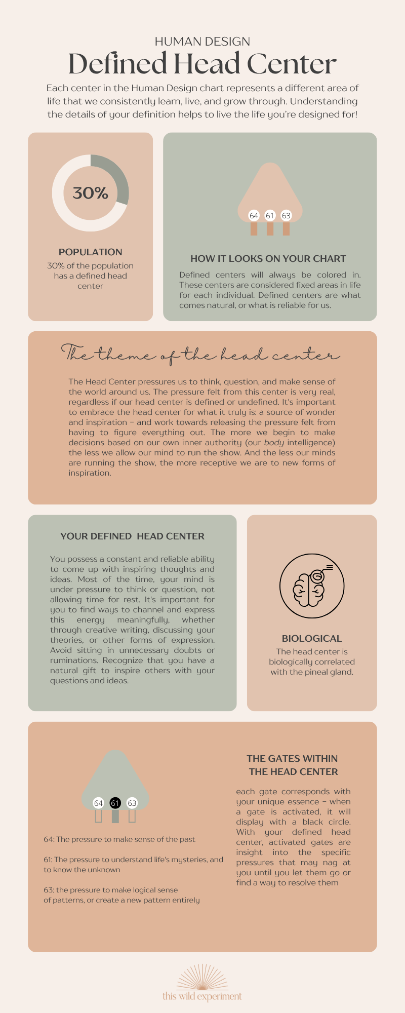 Human Design Head Center