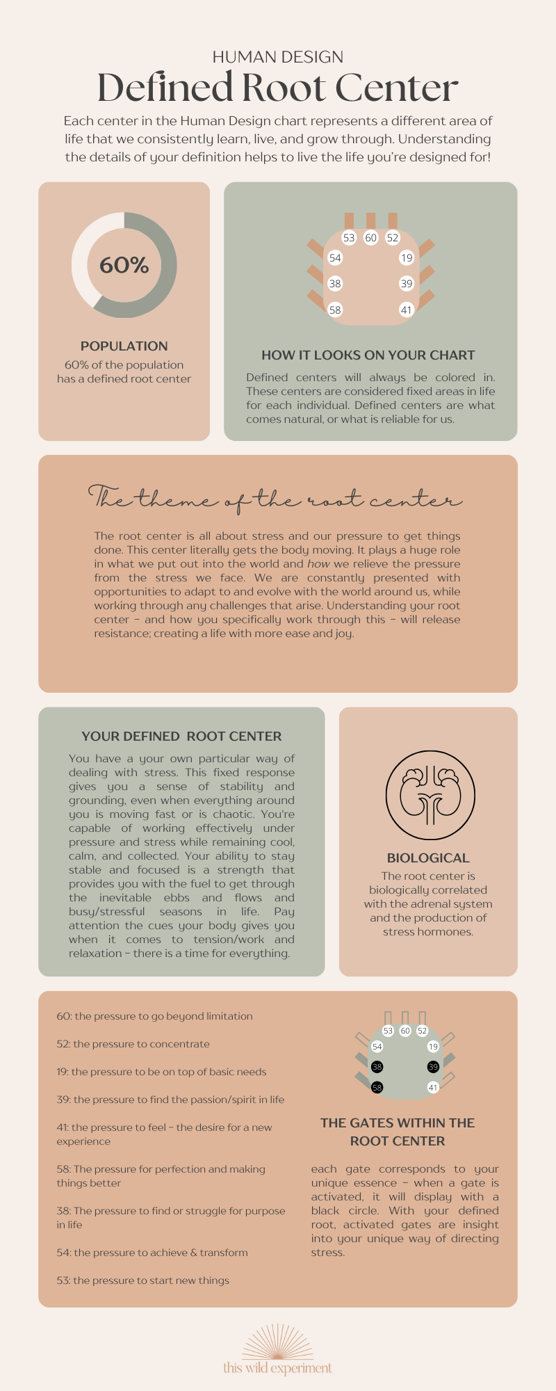 Human Design Root Center