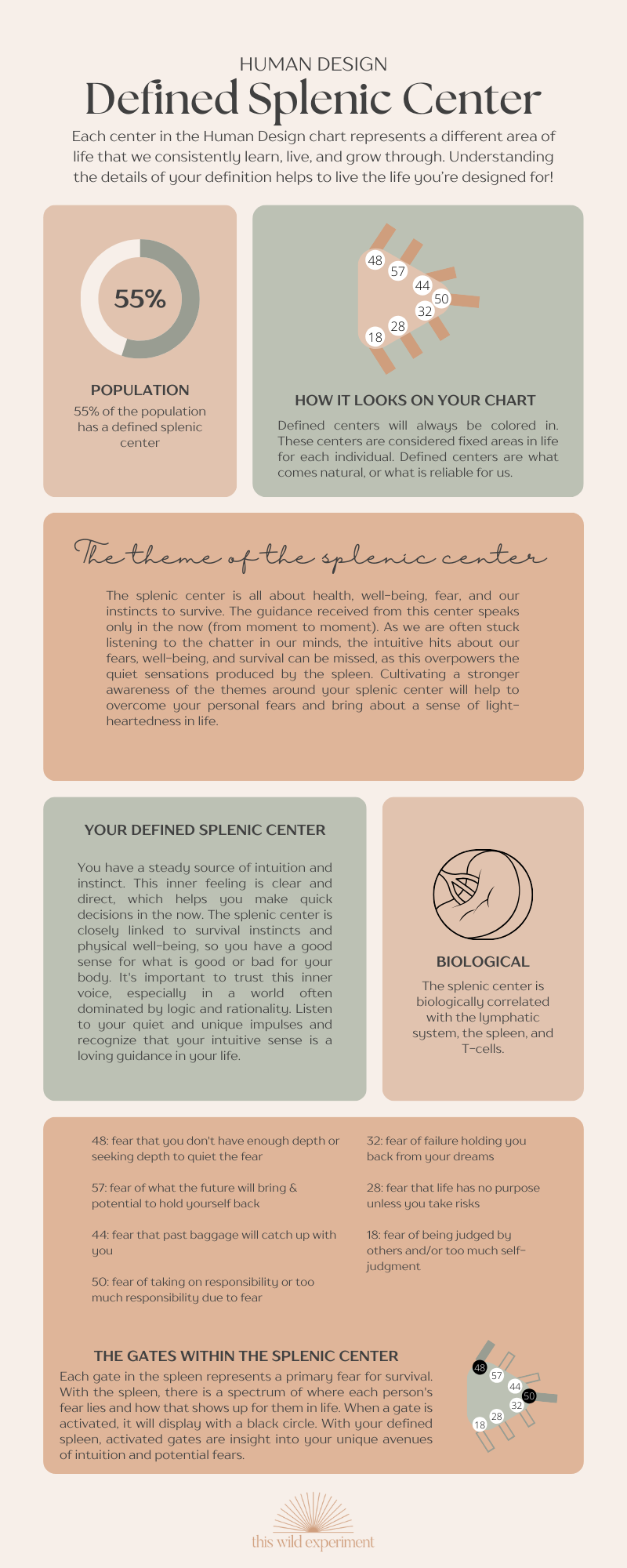 Human Design Splenic Center