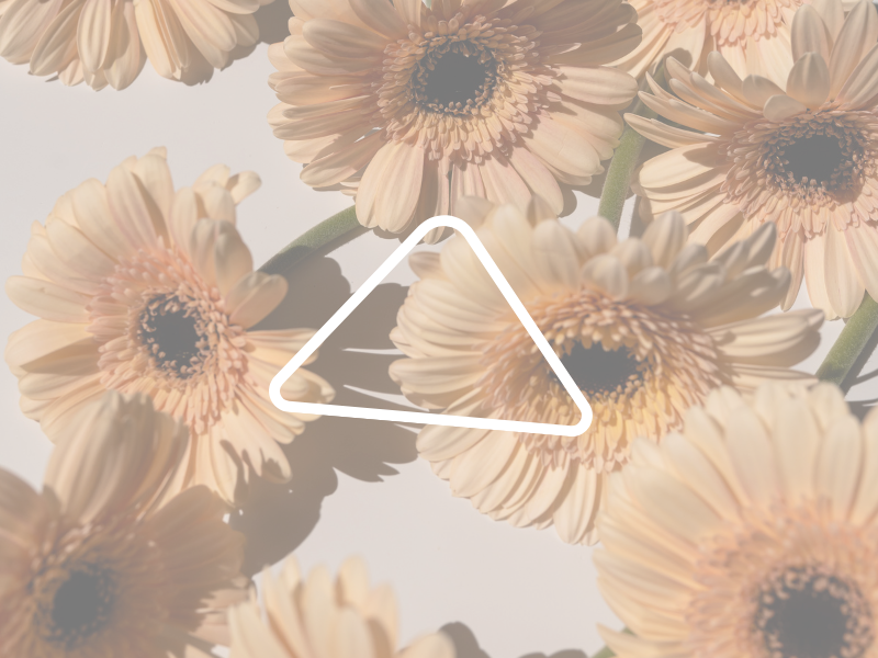 Human Design Defined Heart Center