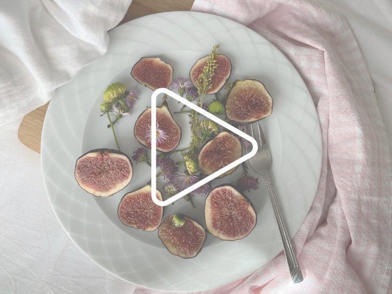 Human Design Defined Splenic Center