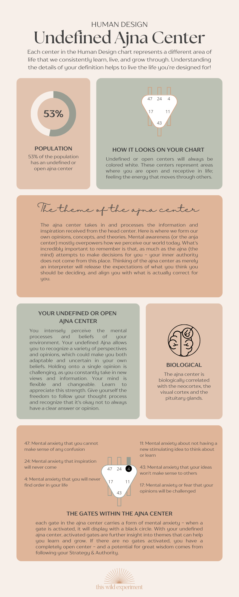 Human Design Ajna Center