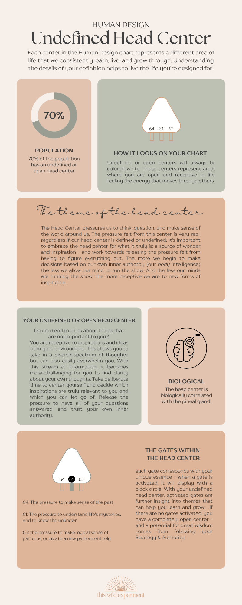 Human Design Head Center