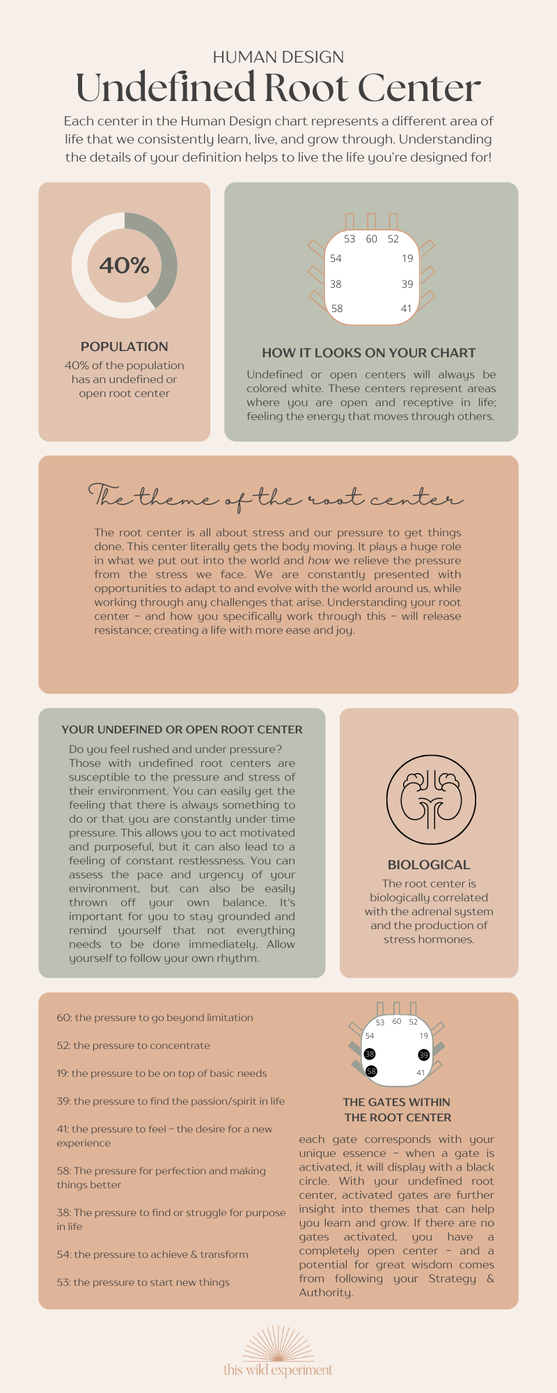 Human Design Root Center