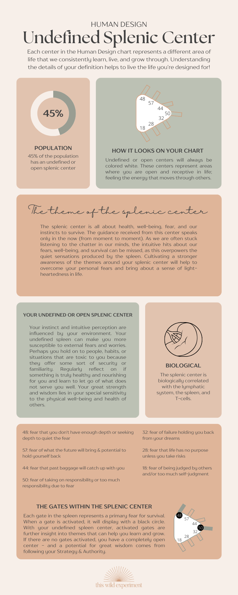 Human Design Splenic Center