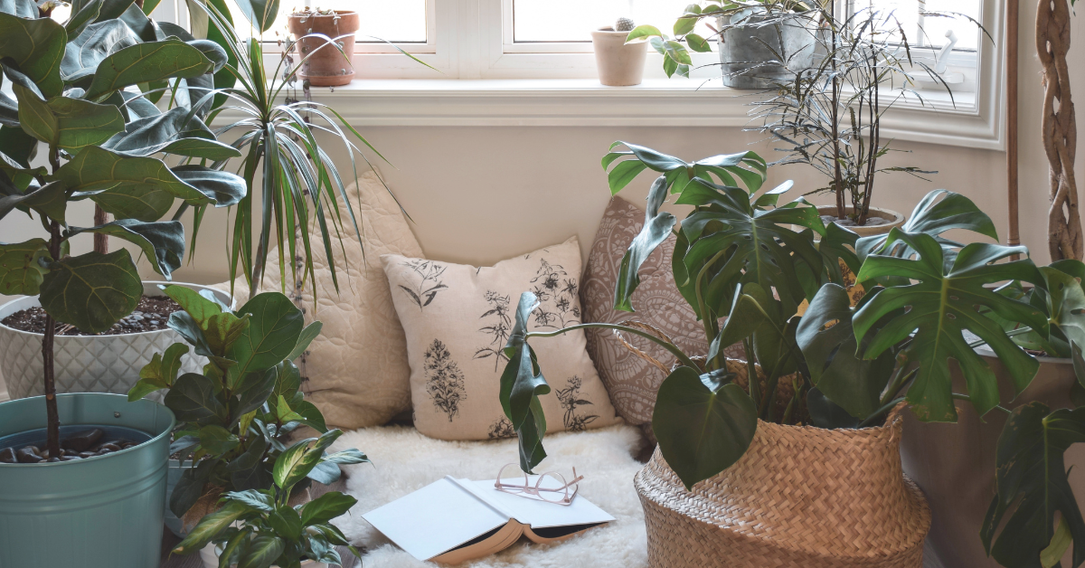 Human Design Profiles