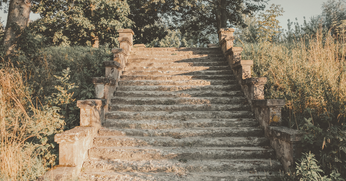 Human Design Profiles