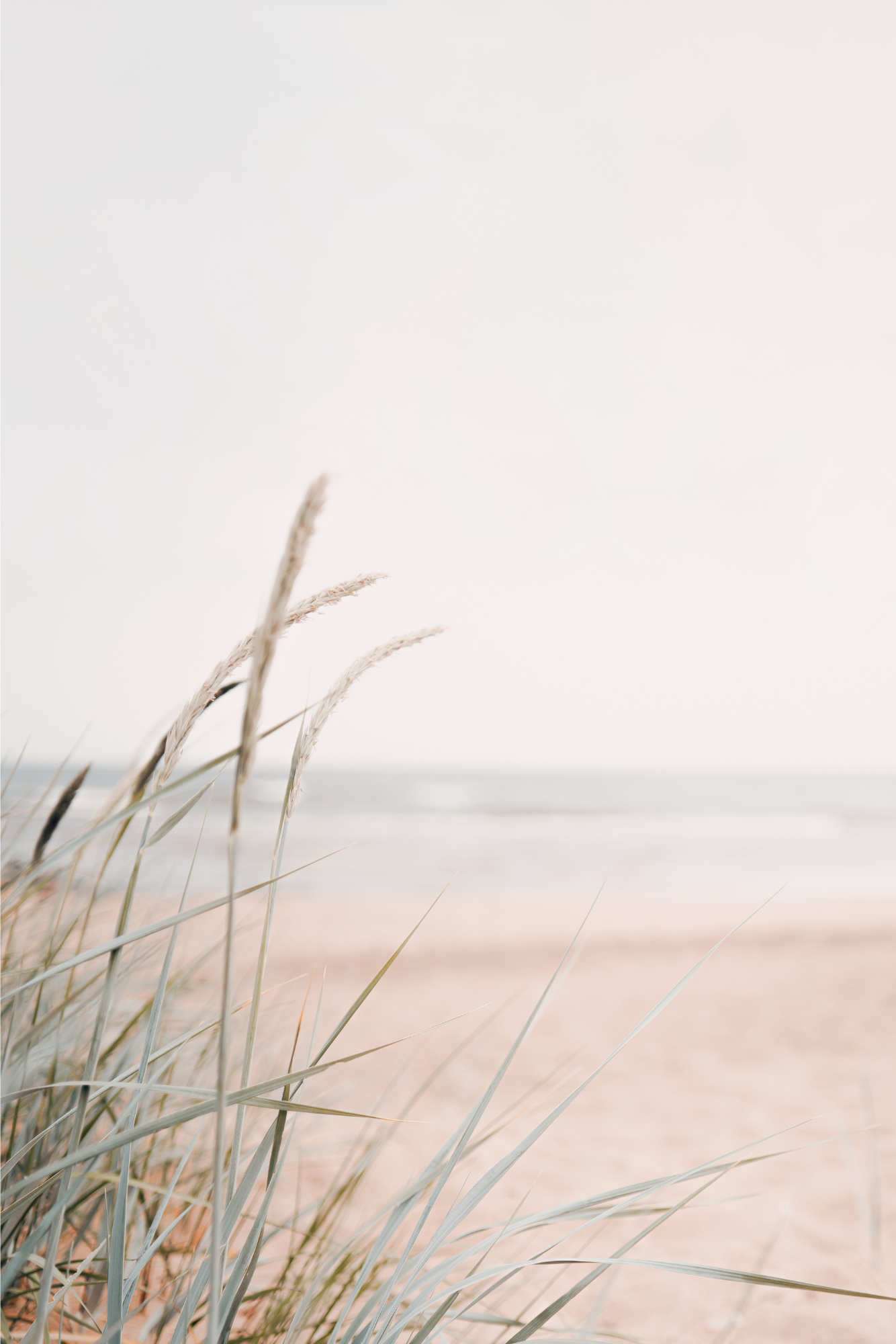 ResourcePage_HumanDesign