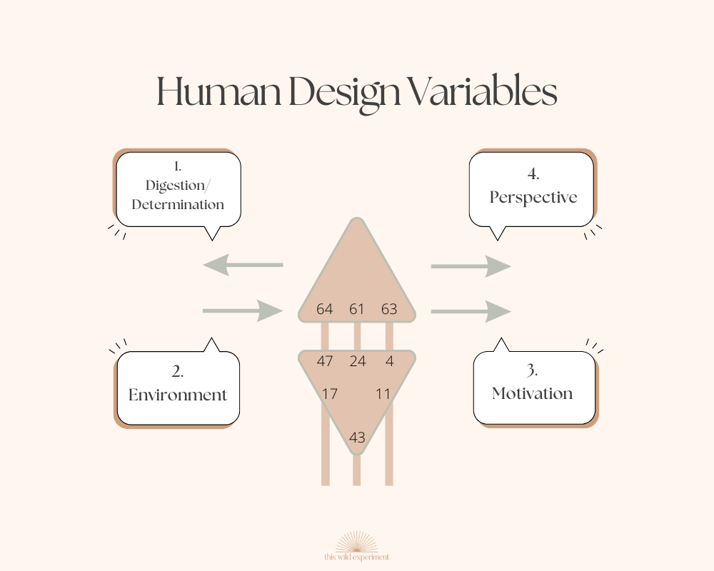 Human Design Arrows
