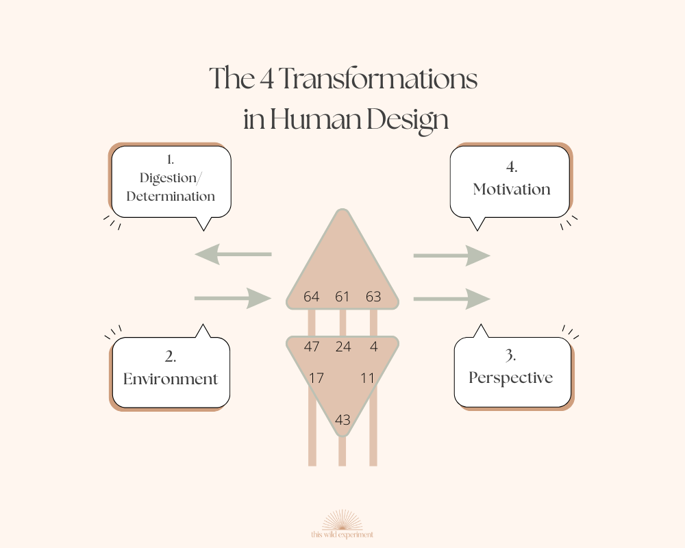 Variable Transformations
